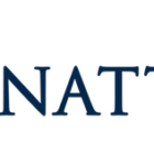 Panatonni logo